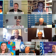 Reunião de Observadores Consultivos da Conferência Ibero-americana