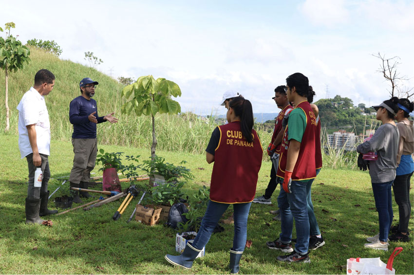 La SEGIB lanza newsletter con nuevas historias sobre cooperación sur-sur y triangular